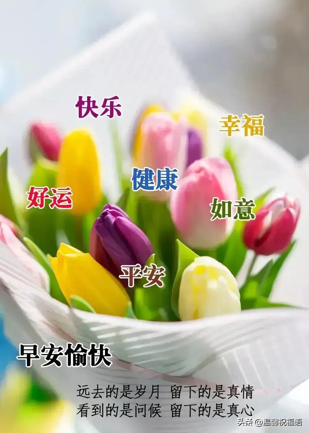 早安祝福語短語_早安祝福語短句_早安語祝福短句大全