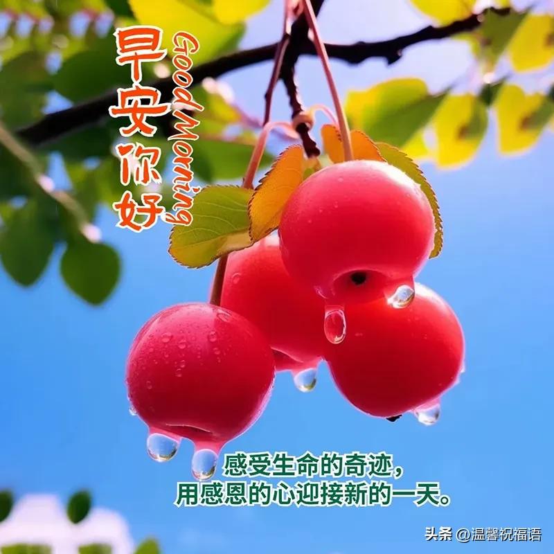 早安語祝福短句大全_早安祝福語短語_早安祝福語短句