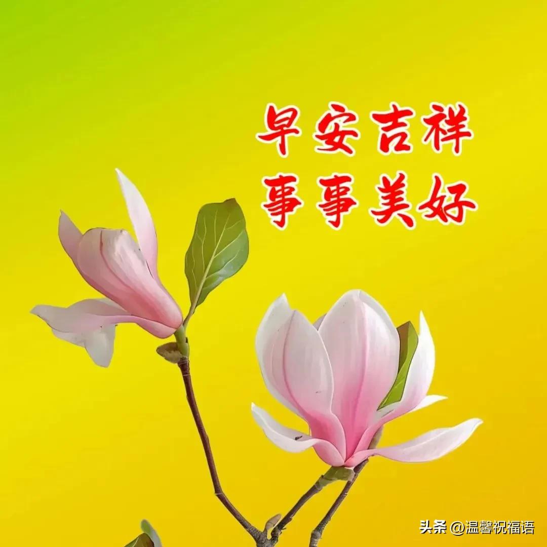 早安祝福語短句_早安祝福語短語_早安語祝福短句大全