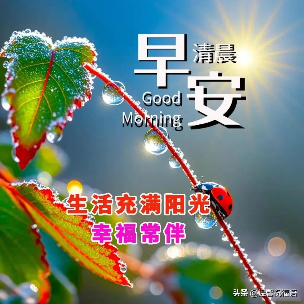 早安祝福語短句_早安祝福語短語_早安語祝福短句大全