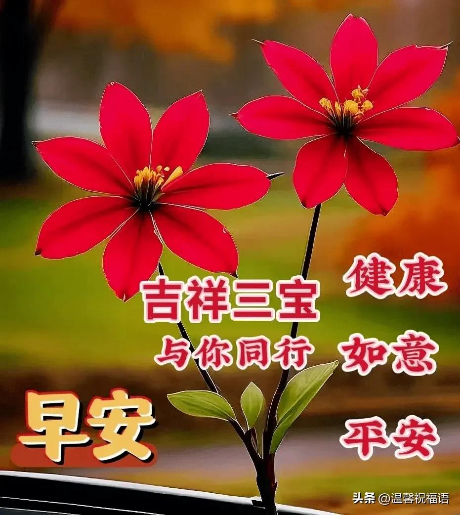 早安語祝福短句大全_早安祝福語短句_早安祝福語短語