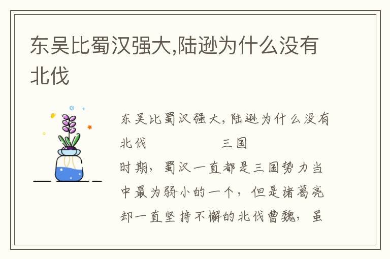 東吳比蜀漢強大,陸遜為什么沒有北伐