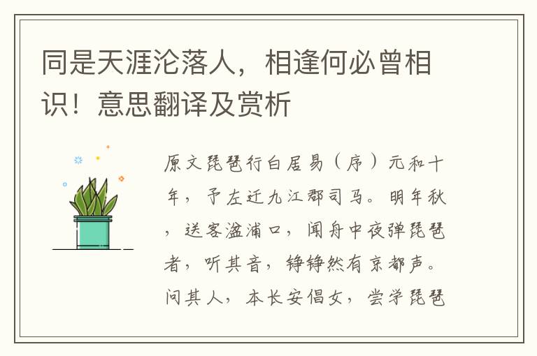 同是天涯淪落人，相逢何必曾相識(shí)！意思翻譯及賞析