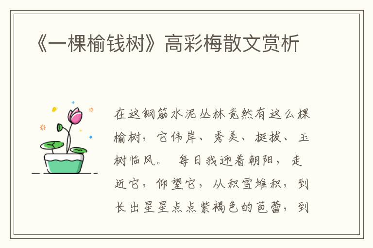 《一棵榆錢樹》高彩梅散文賞析