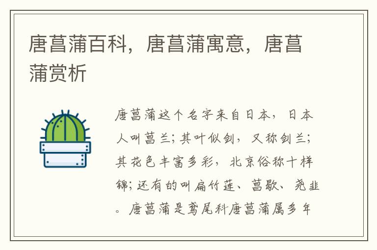 唐菖蒲百科，唐菖蒲寓意，唐菖蒲賞析