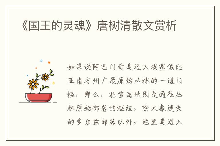 《國王的靈魂》唐樹清散文賞析