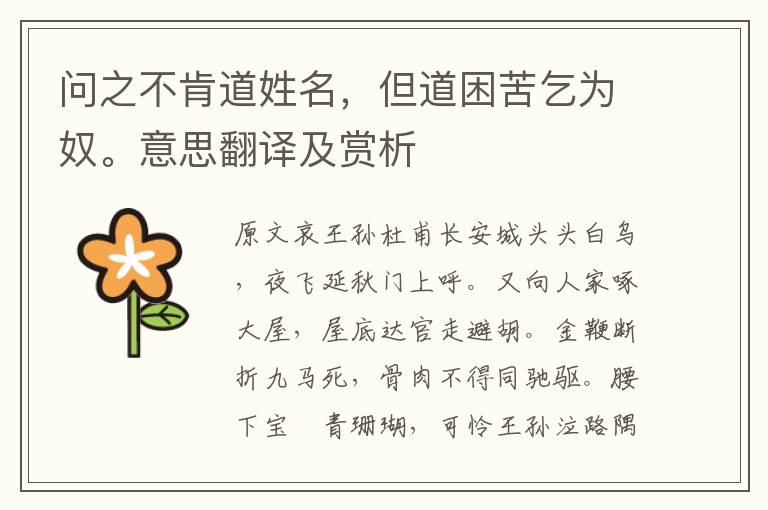 問之不肯道姓名，但道困苦乞為奴。意思翻譯及賞析