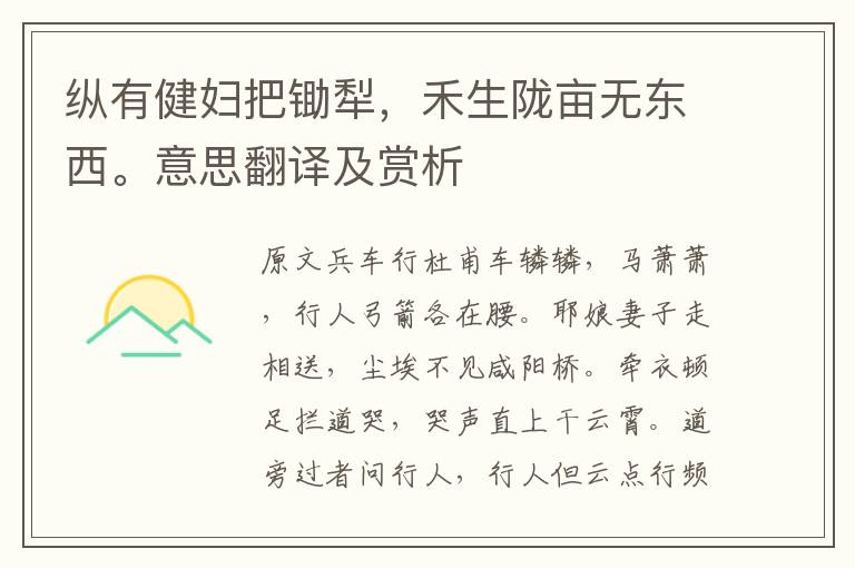 縱有健婦把鋤犁，禾生隴畝無東西。意思翻譯及賞析