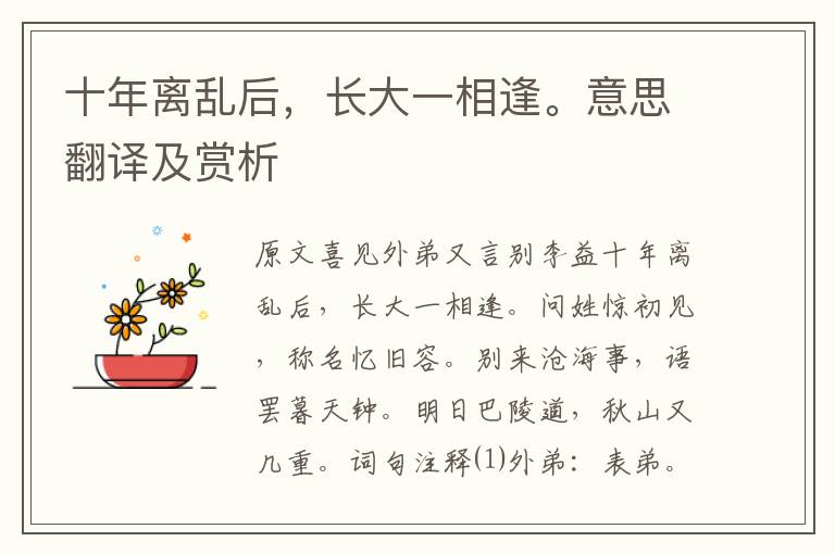 十年離亂后，長大一相逢。意思翻譯及賞析