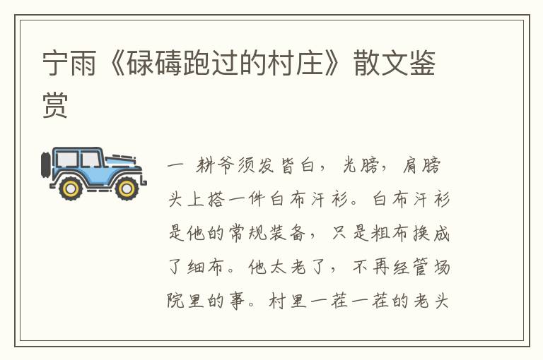 寧雨《碌碡跑過的村莊》散文鑒賞
