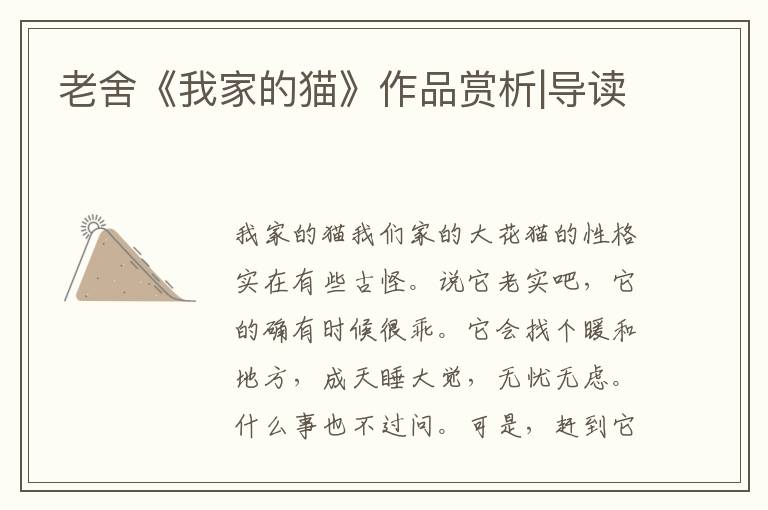 老舍《我家的貓》作品賞析|導(dǎo)讀