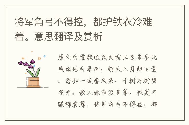 將軍角弓不得控，都護鐵衣冷難著。意思翻譯及賞析