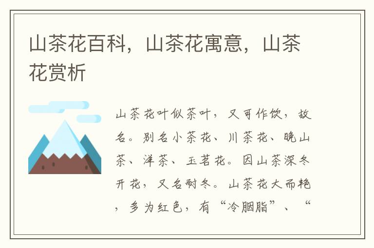 山茶花百科，山茶花寓意，山茶花賞析