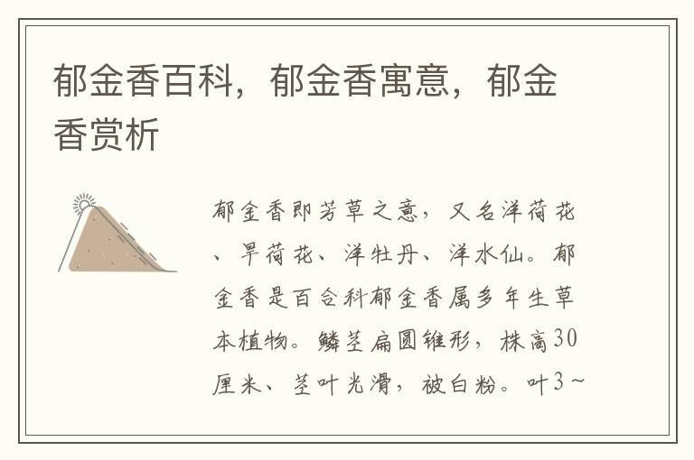 郁金香百科，郁金香寓意，郁金香賞析