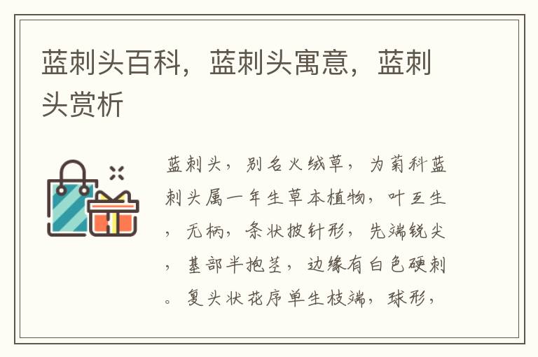 藍(lán)刺頭百科，藍(lán)刺頭寓意，藍(lán)刺頭賞析