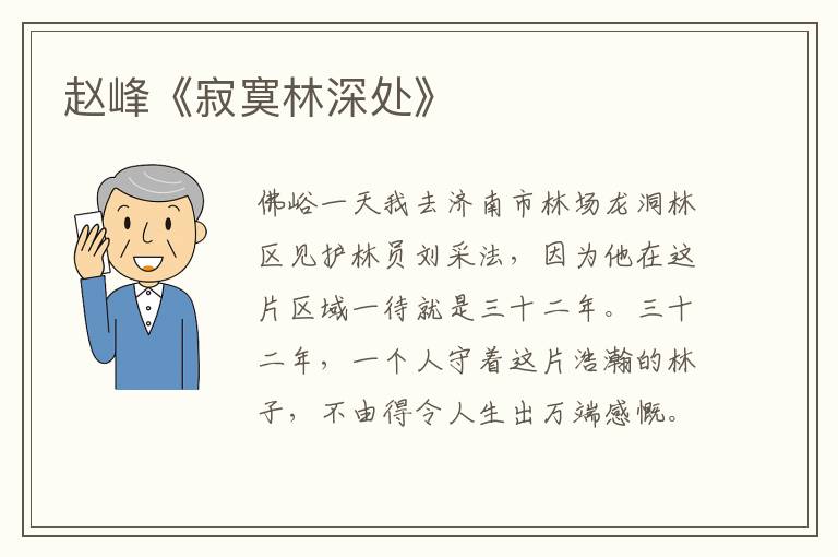 趙峰《寂寞林深處》