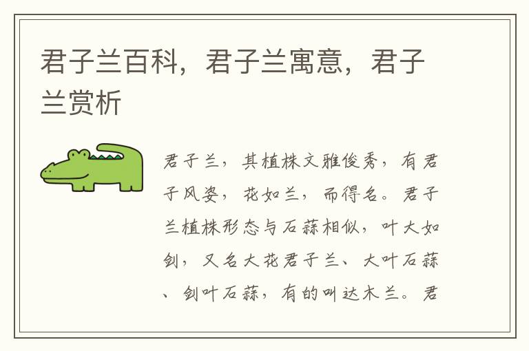 君子蘭百科，君子蘭寓意，君子蘭賞析