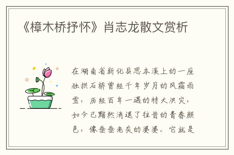《樟木橋抒懷》肖志龍散文賞析