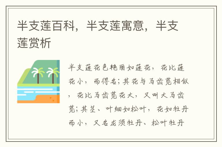 半支蓮百科，半支蓮寓意，半支蓮賞析