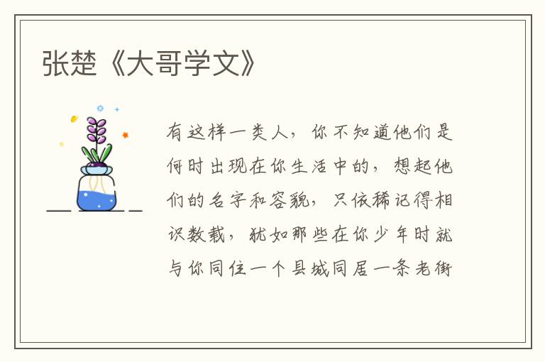 張楚《大哥學文》