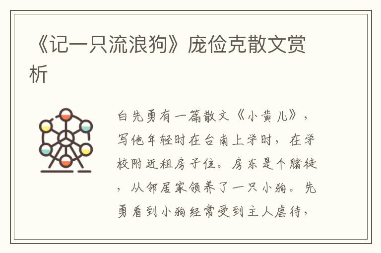 《記一只流浪狗》龐儉克散文賞析