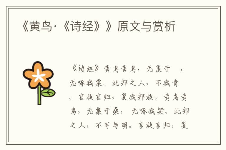 《黃鳥·《詩經(jīng)》》原文與賞析