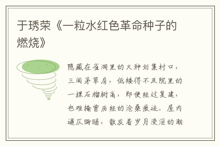 于琇榮《一粒水紅色革命種子的燃燒》