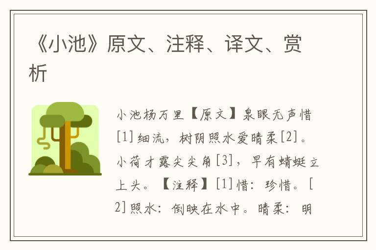 《小池》原文、注釋、譯文、賞析