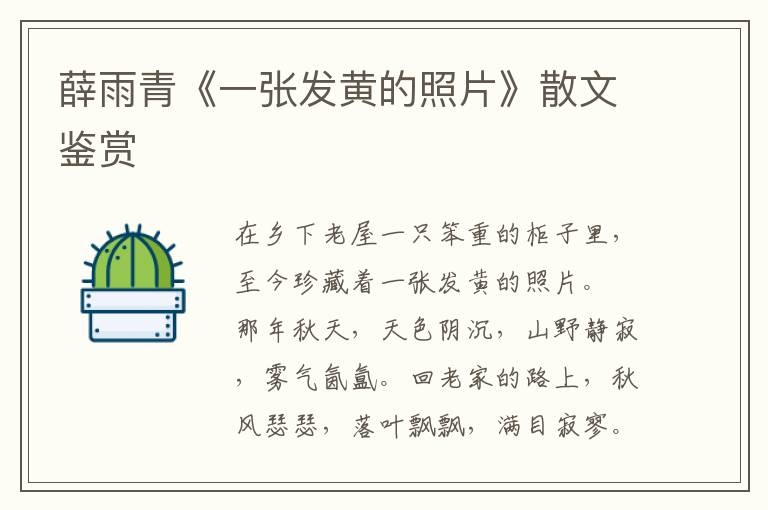 薛雨青《一張發黃的照片》散文鑒賞