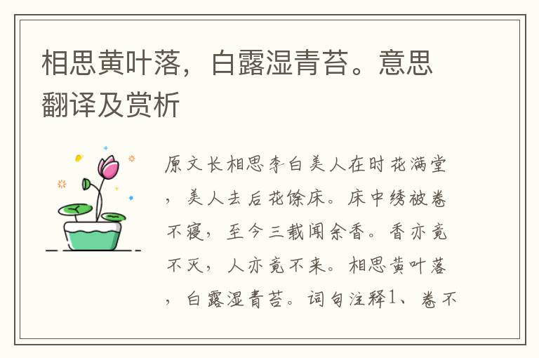 相思黃葉落，白露濕青苔。意思翻譯及賞析