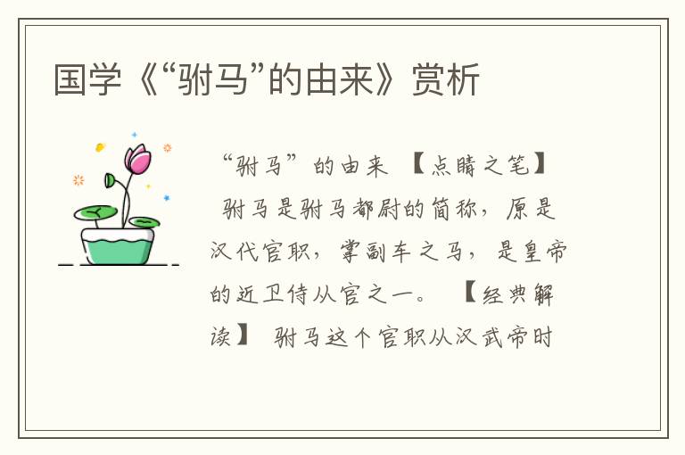 國學《“駙馬”的由來》賞析