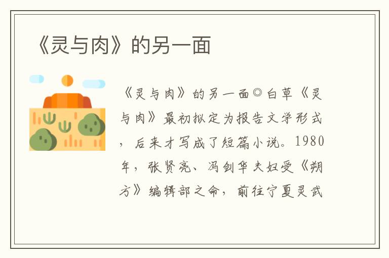 《靈與肉》的另一面