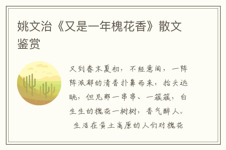 姚文治《又是一年槐花香》散文鑒賞