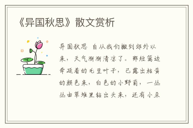 《異國(guó)秋思》散文賞析