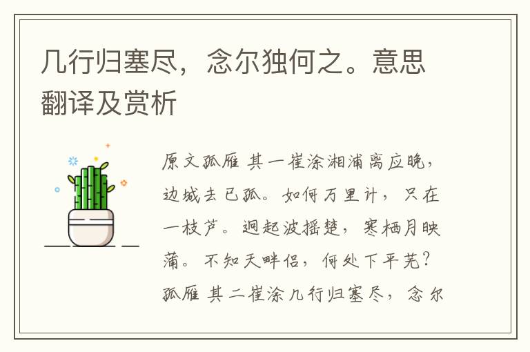 幾行歸塞盡，念爾獨(dú)何之。意思翻譯及賞析