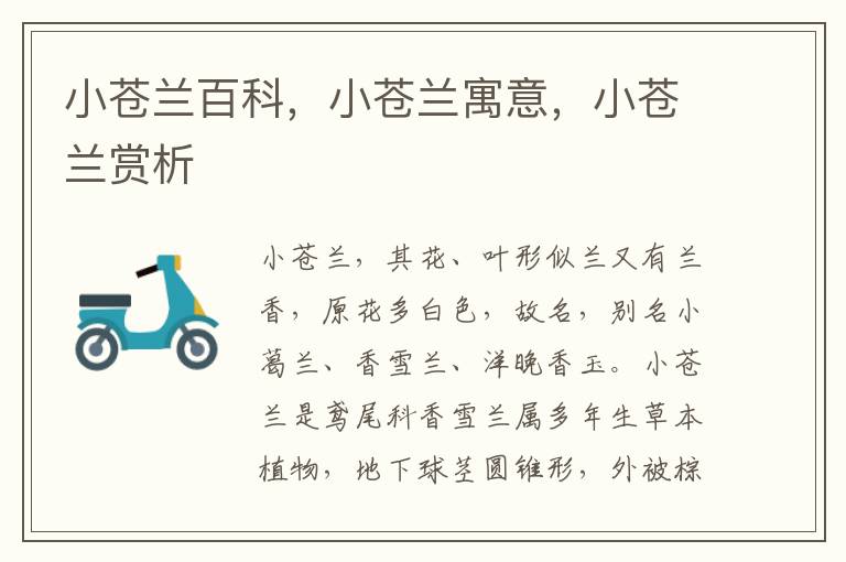 小蒼蘭百科，小蒼蘭寓意，小蒼蘭賞析