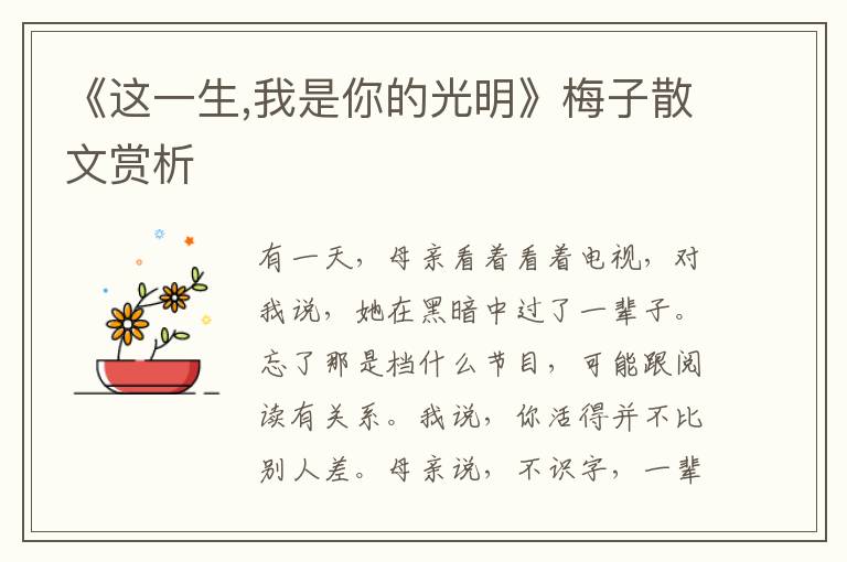 《這一生,我是你的光明》梅子散文賞析