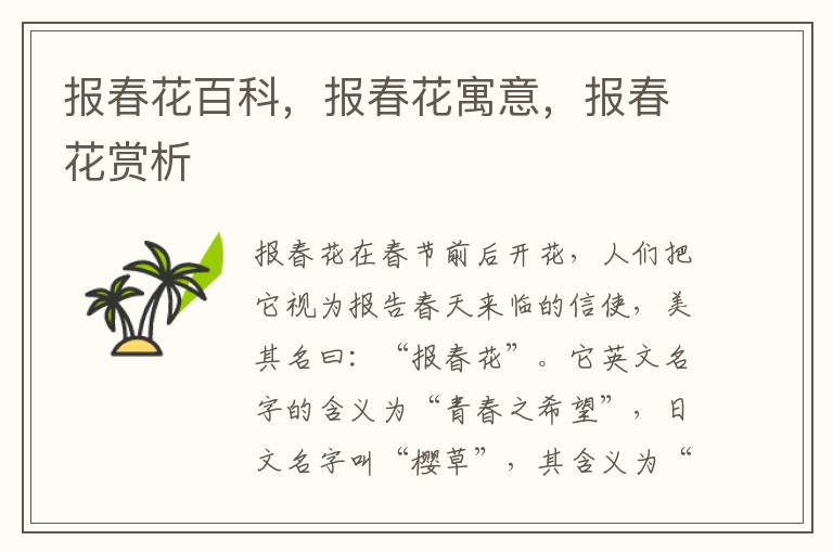報春花百科，報春花寓意，報春花賞析