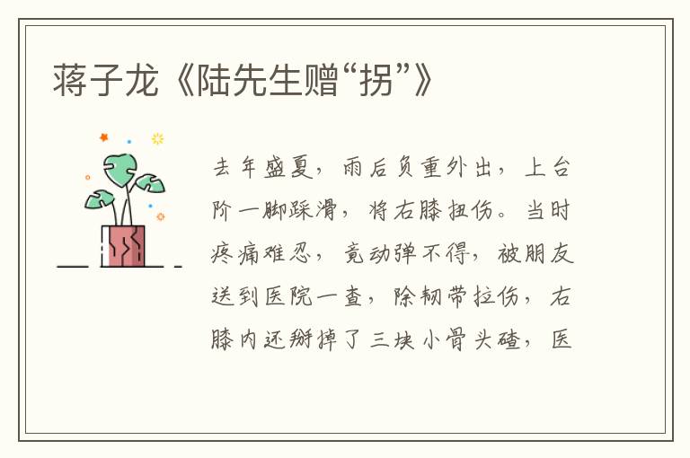 蔣子龍《陸先生贈“拐”》