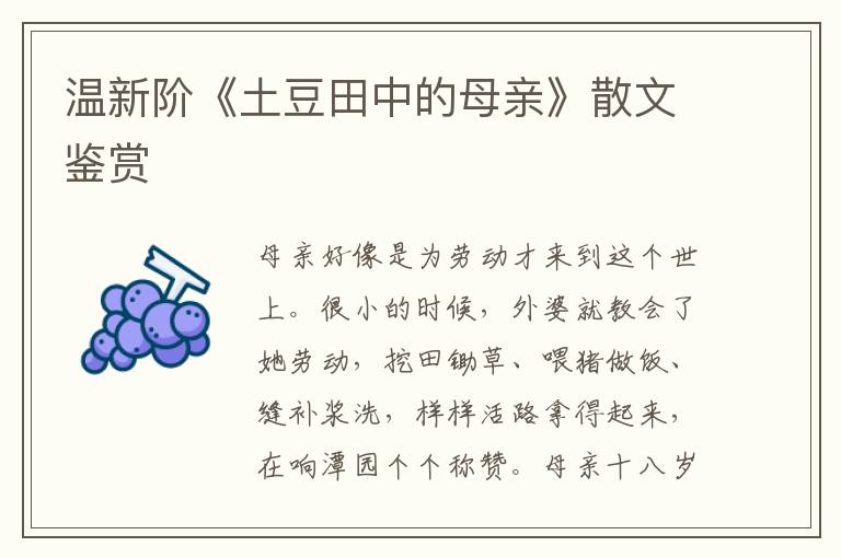 溫新階《土豆田中的母親》散文鑒賞