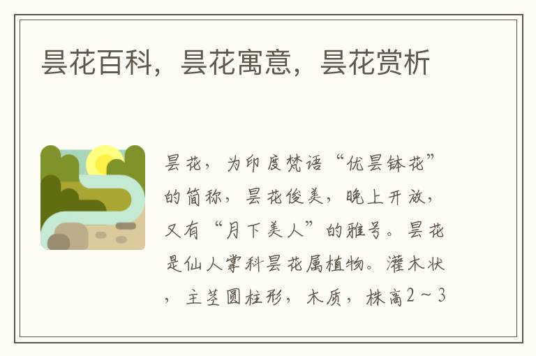 曇花百科，曇花寓意，曇花賞析
