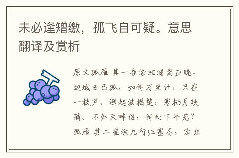未必逢矰繳，孤飛自可疑。意思翻譯及賞析