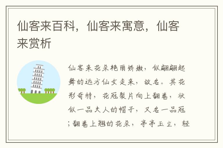 仙客來百科，仙客來寓意，仙客來賞析