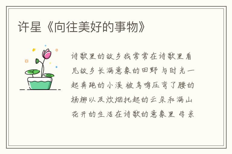 許星《向往美好的事物》