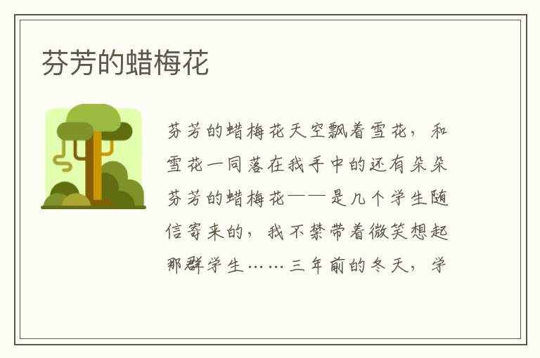 芬芳的蠟梅花