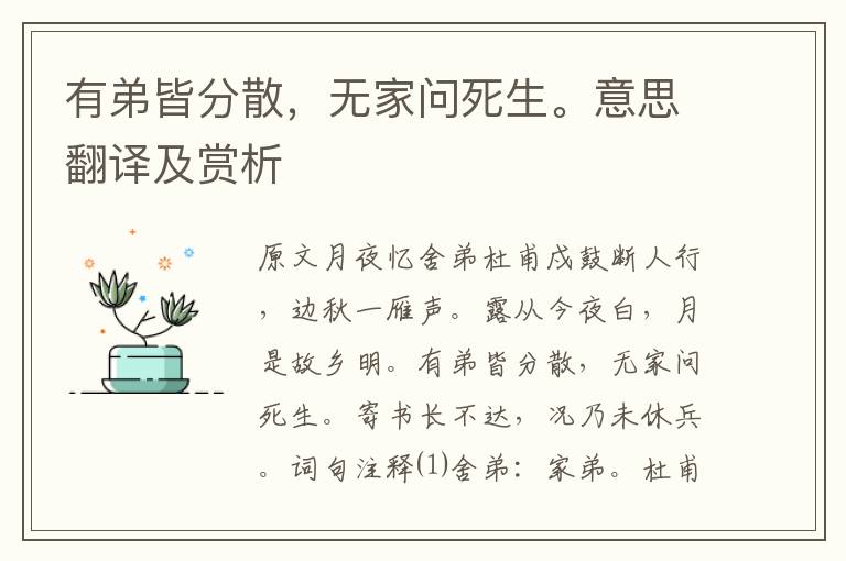 有弟皆分散，無家問死生。意思翻譯及賞析