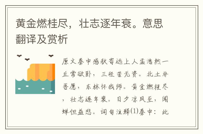 黃金燃桂盡，壯志逐年衰。意思翻譯及賞析