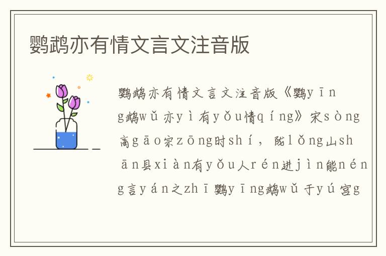 鸚鵡亦有情文言文注音版