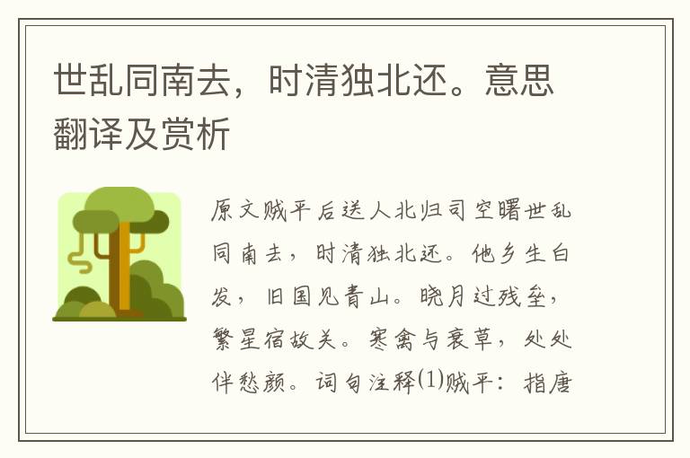 世亂同南去，時清獨北還。意思翻譯及賞析