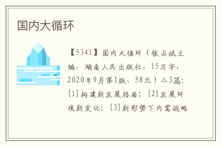 國內(nèi)大循環(huán)
